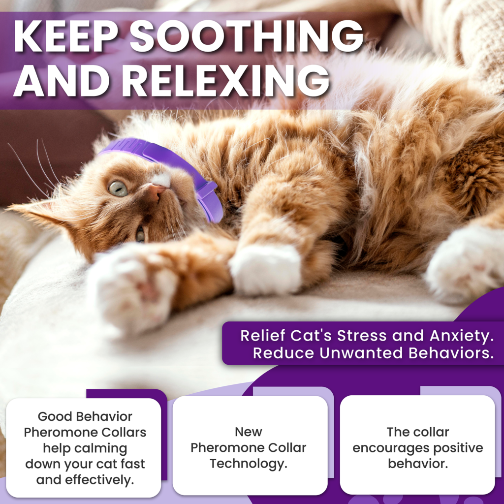 Image showcasing Cat Calming Pheromone Diffuser Kit, Long-Lasting Stress & Anxiety ...