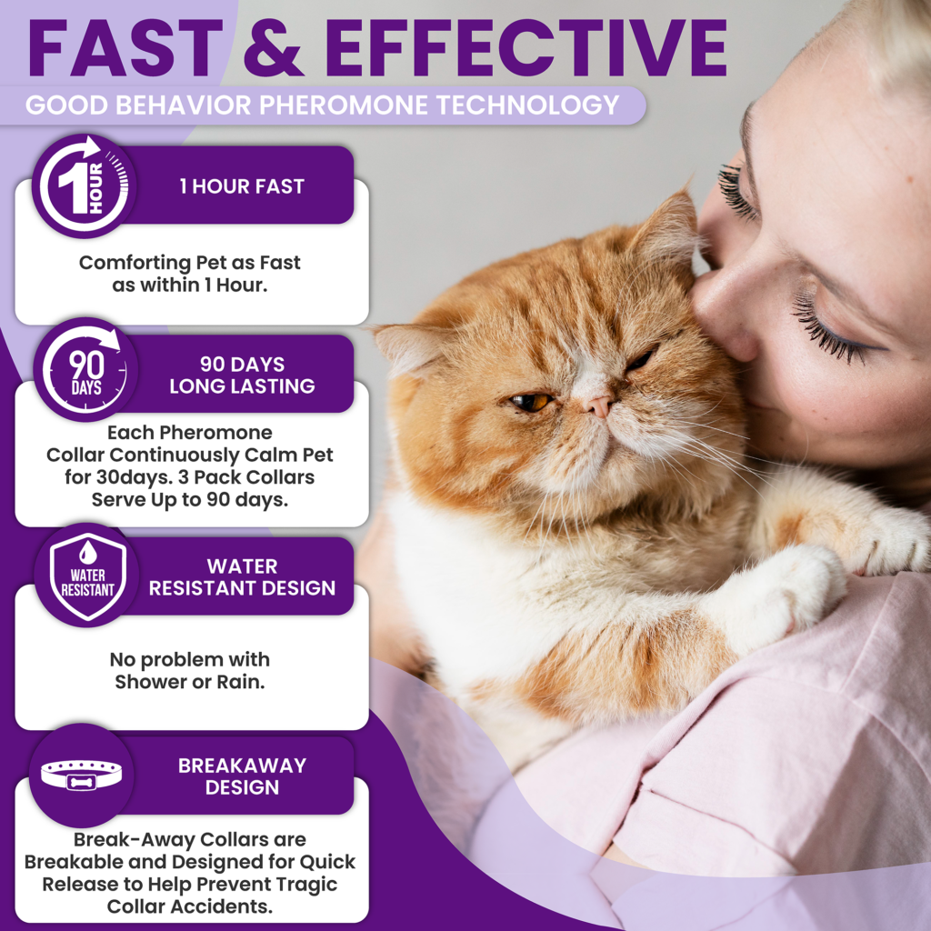 Curated visual reference: Trioak 3 Pack Calming Collar For Cats Cat Calming Collar Photo Inspiration